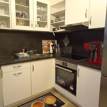 公寓 Ferienwohnnung Ruth - Familienurlaub Im Erzgebirge Langenbach (Saxony)